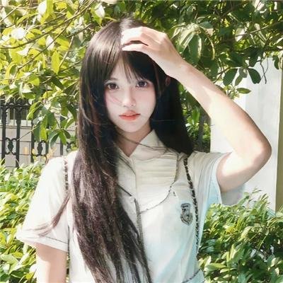 合子异种